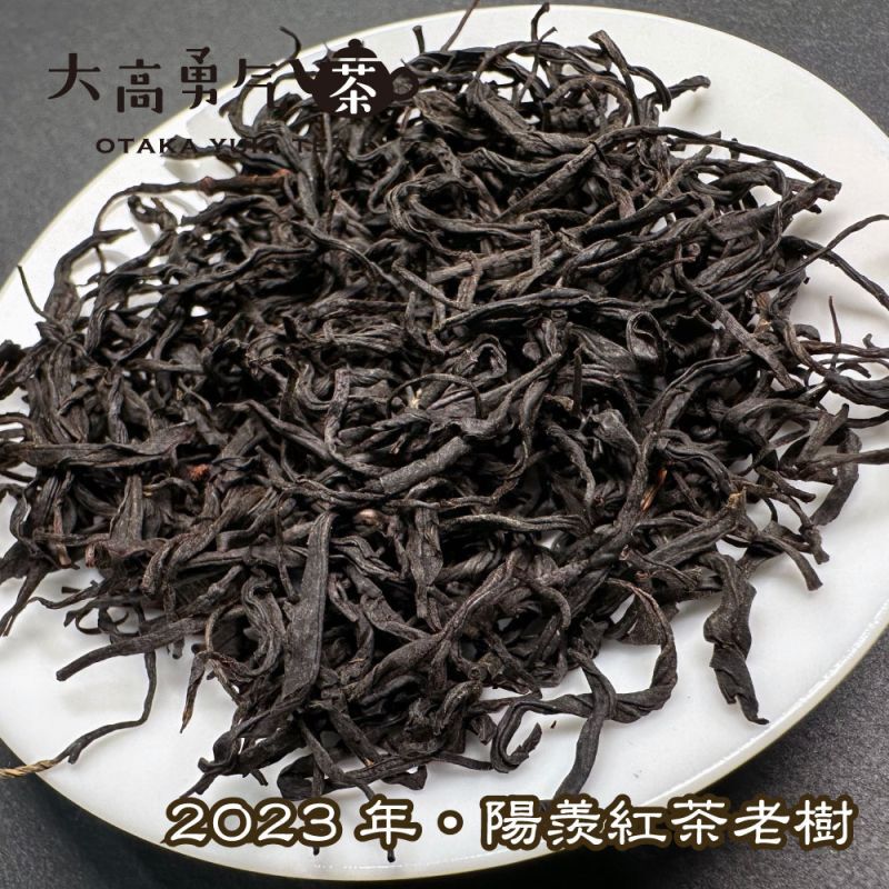 陽羨紅茶の商品写真