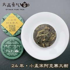 24年小孟宋阿克喬木