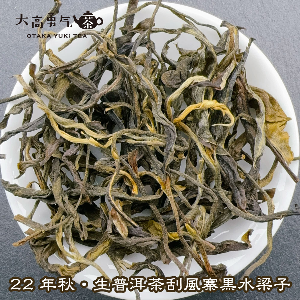 秋刮風寨黒水梁子大樹の商品写真