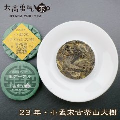 23年小孟宋古茶山大樹