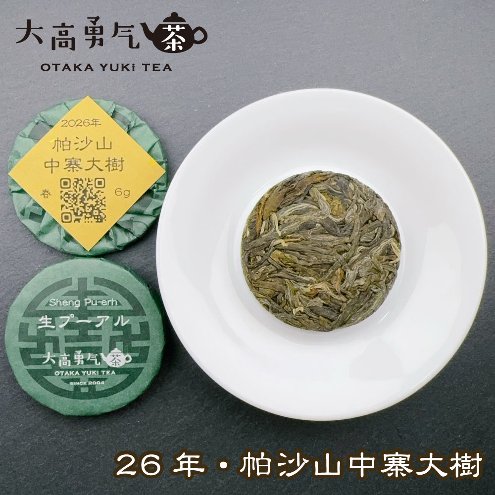 画像1: 26年パシャ山中寨大樹・小茶餅 (1)