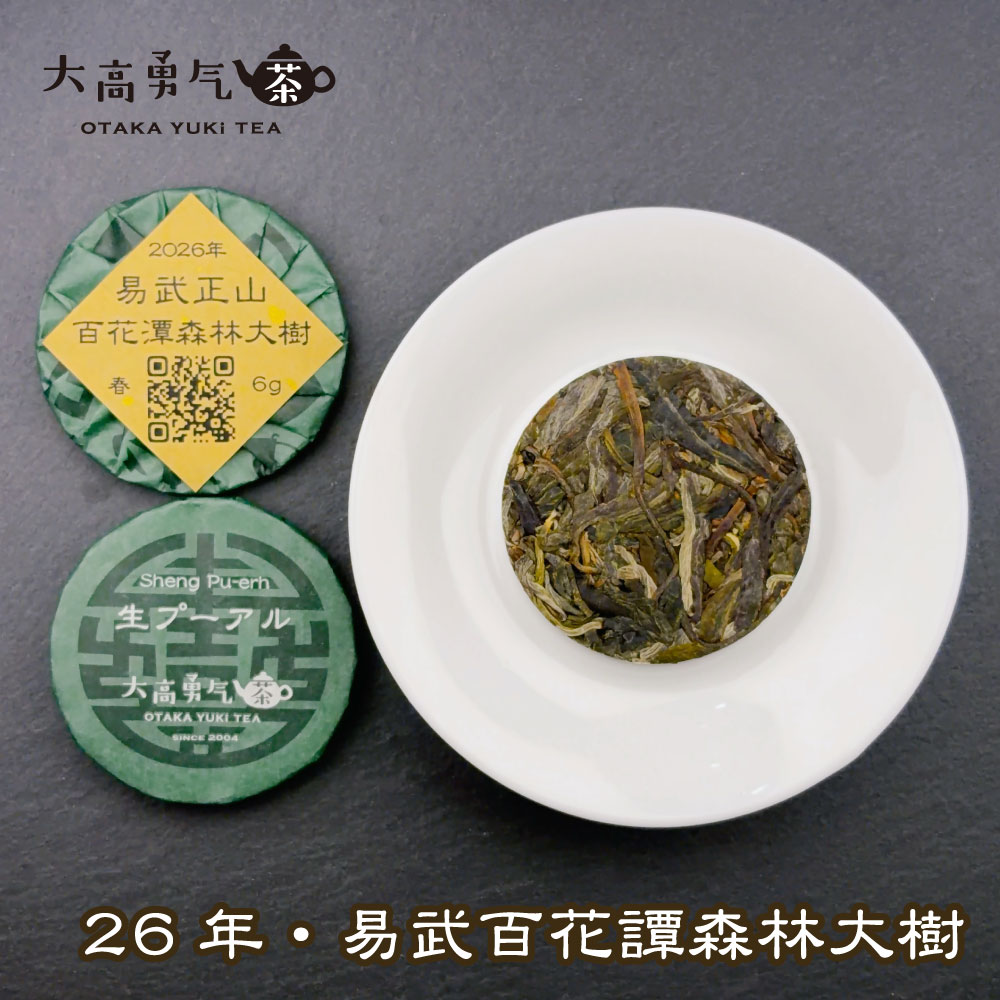 易武百花潭森林大樹 小茶餅の商品写真