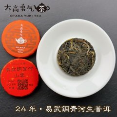 24年易武銅青河山雲