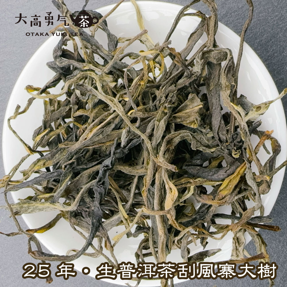 刮風寨大樹の商品写真