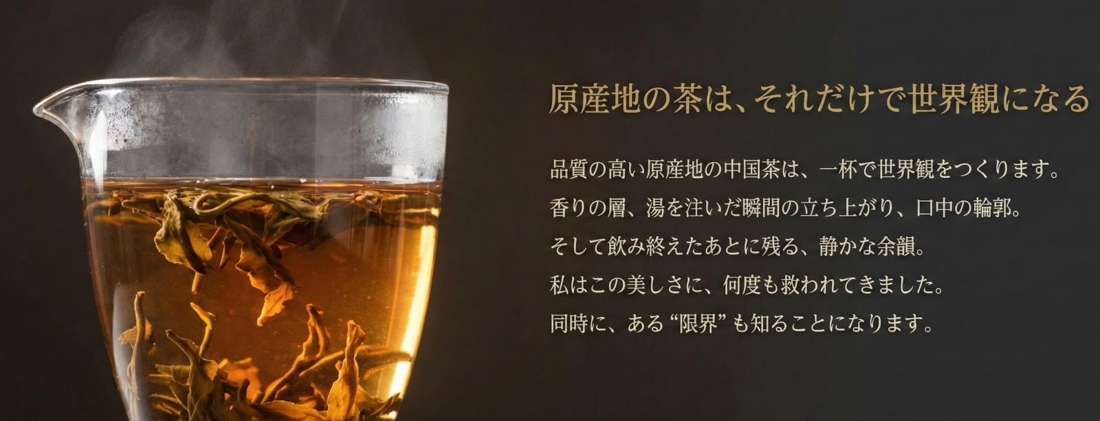 2044年に目指す大高勇気のゴールの資料画像 3