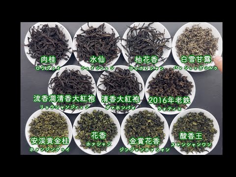 【プロ視点で解説】2023年11月 中国茶OMAKASE11種類の茶葉を一つずつ紹介しました！【中国茶・中国上海】中国茶専門店の動画サムネイル