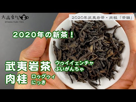 【武夷岩茶】茶葉に力強さと深みのある味わいが特徴の武夷岩茶・肉桂【中国上海・中国茶専門店】中国茶紹介編の動画サムネイル