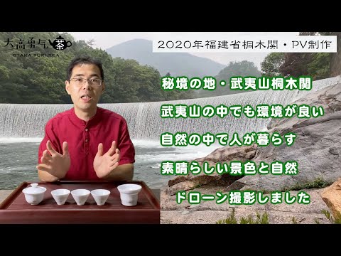 【茶産地PV】2020年福建省桐木関の茶畑プロモーションビデオ完成！【中国茶・中国上海】茶産地編-005の動画サムネイル
