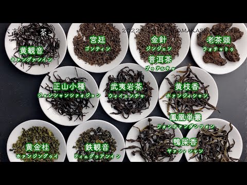 【プロ視点で解説】2022年2月中国茶OMAKASE11種類の茶葉を一つずつ紹介しました！【中国茶・中国上海】中国茶専門店の動画サムネイル