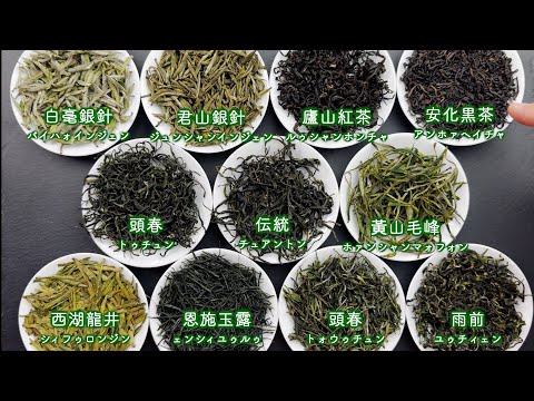 【プロ視点で解説】2024年5月 中国茶OMAKASE11種類の茶葉を一つずつ紹介しました！【中国茶・中国上海】中国茶専門店の動画サムネイル