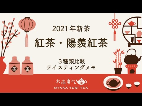 【三種類評茶】2021年紅茶・陽羨紅茶の違いを徹底解説！【中国茶・中国上海】テイスティングの動画サムネイル