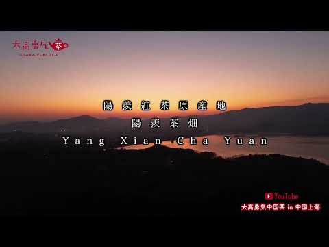 【陽羨紅茶原産地】陽羨茶畑の素晴らしい自然環境と茶畑をご覧ください！【中国茶・中国上海】中国茶産地の動画サムネイル