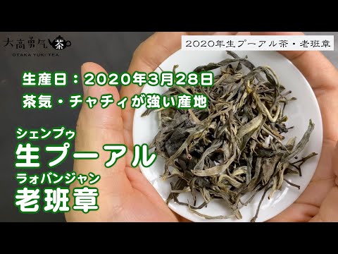 【新茶】2020年明前茶・優しさと花香をたっぷりと堪能出来る生プーアル・老班章！【中国上海・中国茶専門店】中国茶紹介編-030の動画サムネイル