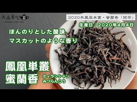 【新茶】2020年ほんのりとした酸味と甘みが心地よい鳳凰単叢・蜜蘭香！【中国上海・中国茶専門店】中国茶紹介編の動画サムネイル