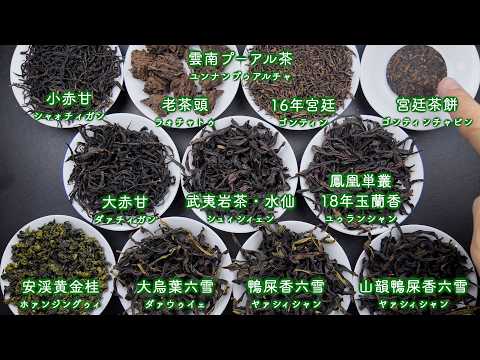 【プロ視点で解説】2026年2月 中国茶OMAKASE11種類の茶葉を一つずつ紹介しました！【中国茶・中国上海】中国茶専門店の動画サムネイル