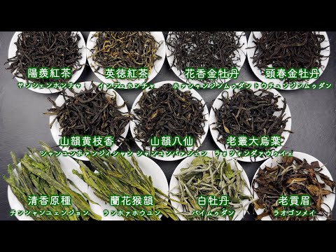 【プロ視点で解説】2024年8月 中国茶OMAKASE11種類の茶葉を一つずつ紹介しました！【中国茶・中国上海】中国茶専門店の動画サムネイル