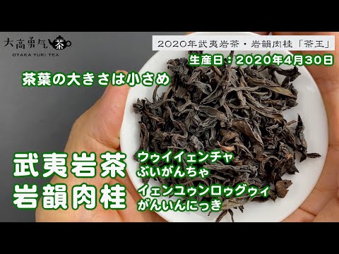 【武夷岩茶】茶葉に覇気を帯びる深みのある味わいが特徴の武夷岩茶・岩韻肉桂！【中国上海・中国茶専門店】中国茶紹介編の動画サムネイル