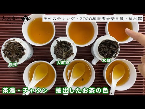 【有料級】2019年武夷岩茶の三等級を徹底解説・後半編！【中国茶・中国上海】テイスティング-004の動画サムネイル
