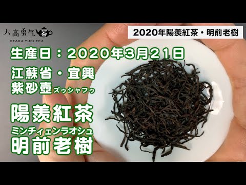 【新茶】2020年明前茶・蘭花香の香りが美味しい陽羨紅茶が届きました！【中国茶・中国上海】中国茶紹介編-008の動画サムネイル