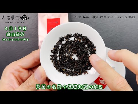 【2024新茶】廬山紅茶Teabagテイスティング解説【中国茶・中国上海】中国茶・紅茶の動画サムネイル
