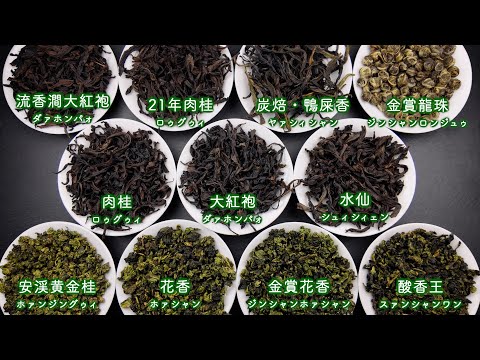 【プロ視点で解説】2024年11月 中国茶OMAKASE11種類の茶葉を一つずつ紹介しました！【中国茶・中国上海】中国茶専門店の動画サムネイル