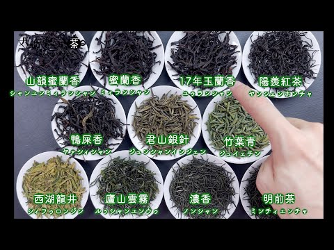 【プロ視点で解説】2023年5月中国茶OMAKASE11種類の茶葉を一つずつ紹介しました！【中国茶・中国上海】中国茶専門店の動画サムネイル