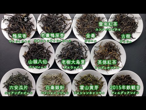 【プロ視点で解説】2022年8月中国茶OMAKASE11種類の茶葉を一つずつ紹介しました！【中国茶・中国上海】中国茶専門店の動画サムネイル