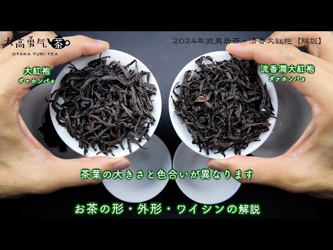 【2024年新茶】香りに甘みを帯び、上品な味わいの武夷岩茶・大紅袍解説【中国茶・中国上海】中国茶・青茶の動画サムネイル