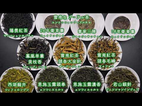 【プロ視点で解説】2026年5月 中国茶OMAKASE11種類の茶葉を一つずつ紹介しました！【中国茶・中国上海】中国茶専門店の動画サムネイル