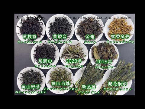 【プロ視点で解説】2023年8月 中国茶OMAKASE11種類の茶葉を一つずつ紹介しました！【中国茶・中国上海】中国茶専門店の動画サムネイル