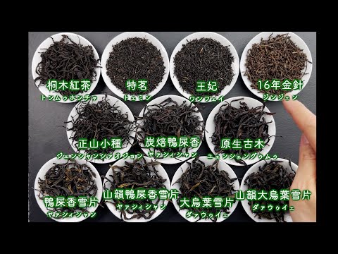 【プロ視点で解説】2024年2月 中国茶OMAKASE11種類の茶葉を一つずつ紹介しました！【中国茶・中国上海】中国茶専門店の動画サムネイル