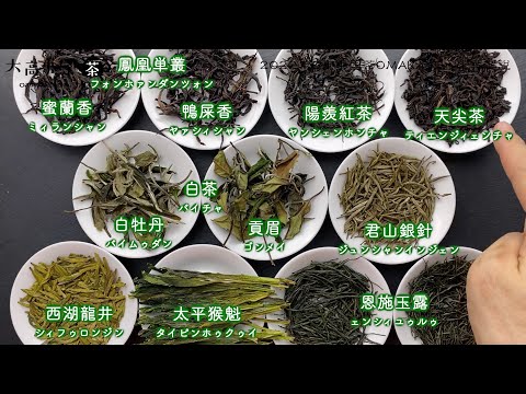 【プロ視点で解説】2022年5月中国茶OMAKASE11種類の茶葉を一つずつ紹介しました！【中国茶・中国上海】中国茶専門店の動画サムネイル