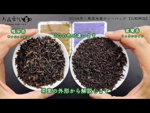 【2024新商品】鳳凰単叢（蜜蘭香＆鴨屎香）Teabag比較解説【中国茶・中国上海】中国茶・青茶の動画サムネイル