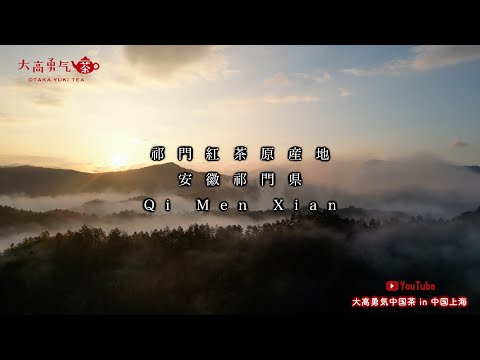 【祁門紅茶原産地】祁門県の素晴らしい自然環境と茶畑をご覧ください！【中国茶・中国上海】中国茶産地の動画サムネイル
