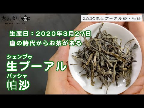 【新茶】2020年明前茶・香りと味わいのバランスをしっかり出来る生プーアル・帕沙！【中国上海・中国茶専門店】中国茶紹介編-031の動画サムネイル