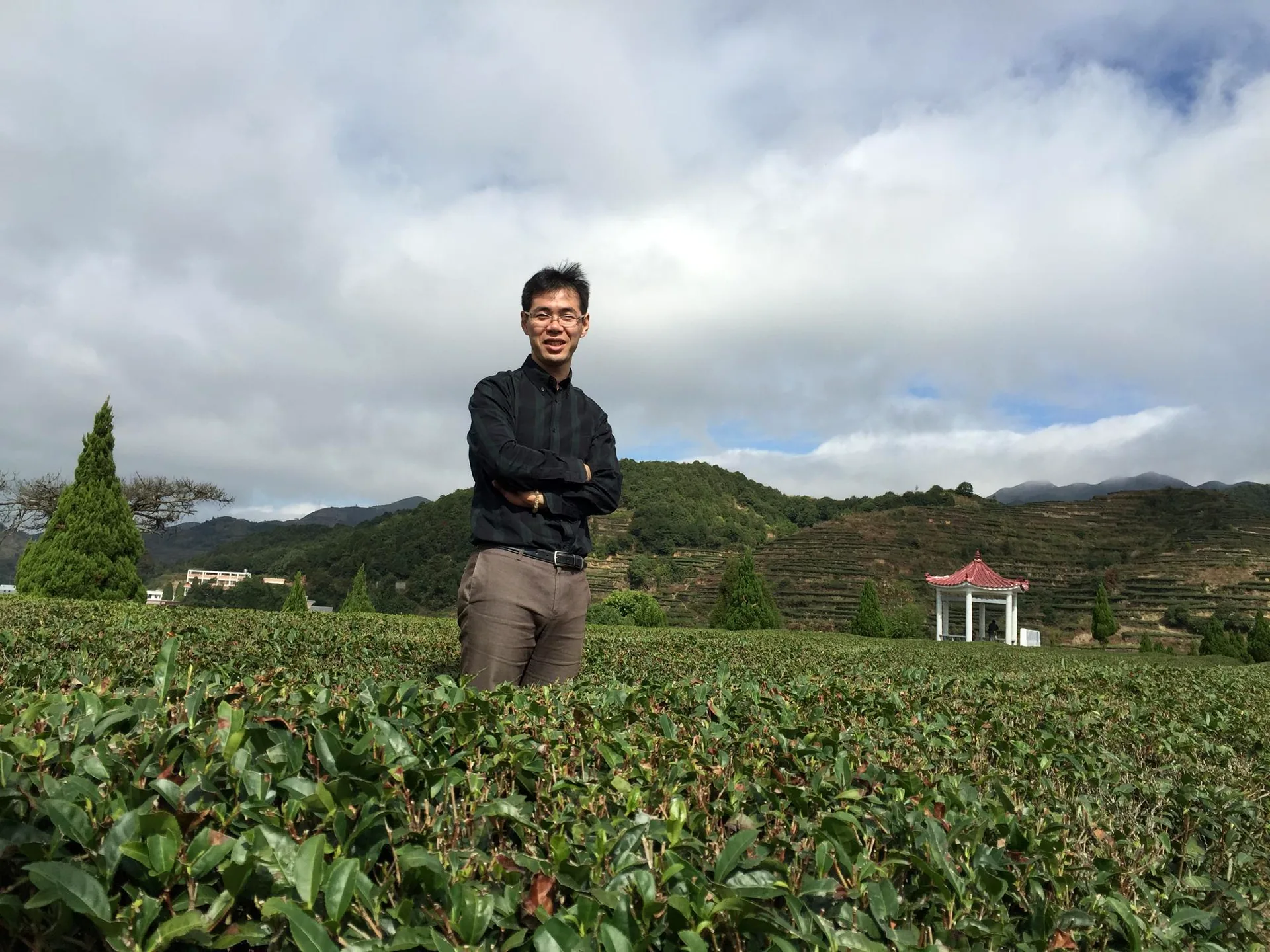 山あいの茶畑に立つ大高勇気