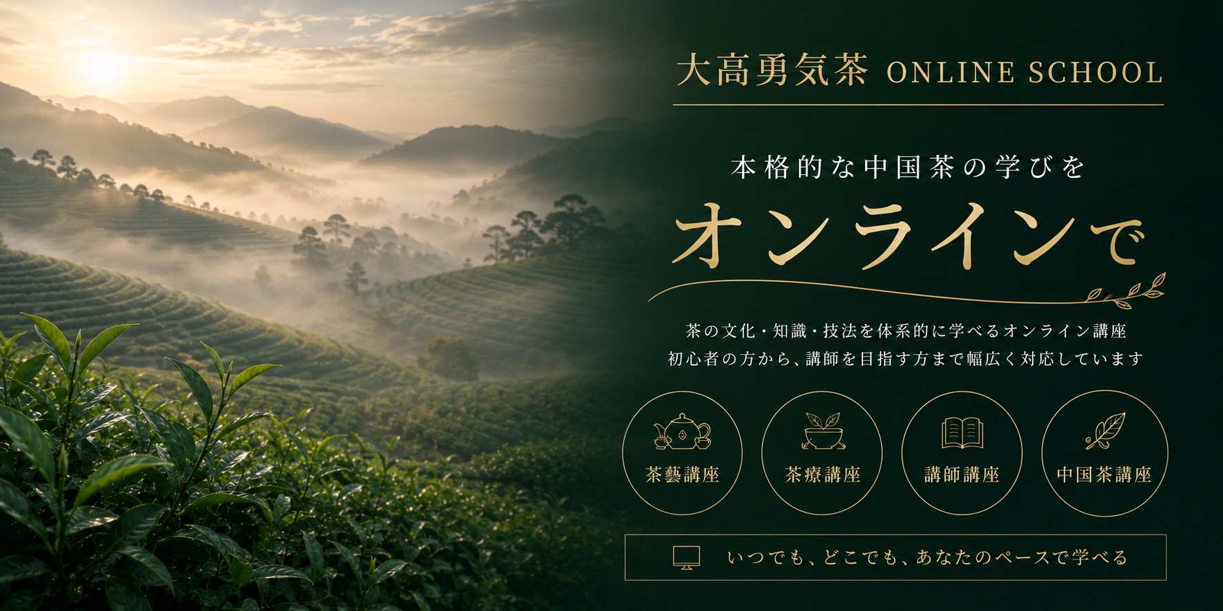 大高勇気 中国茶オンライン講座