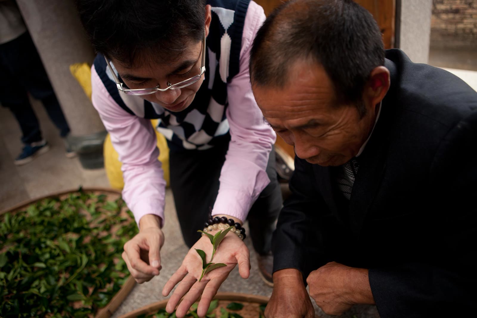 中国茶産地で茶農家と芽葉の状態を確認する大高勇気